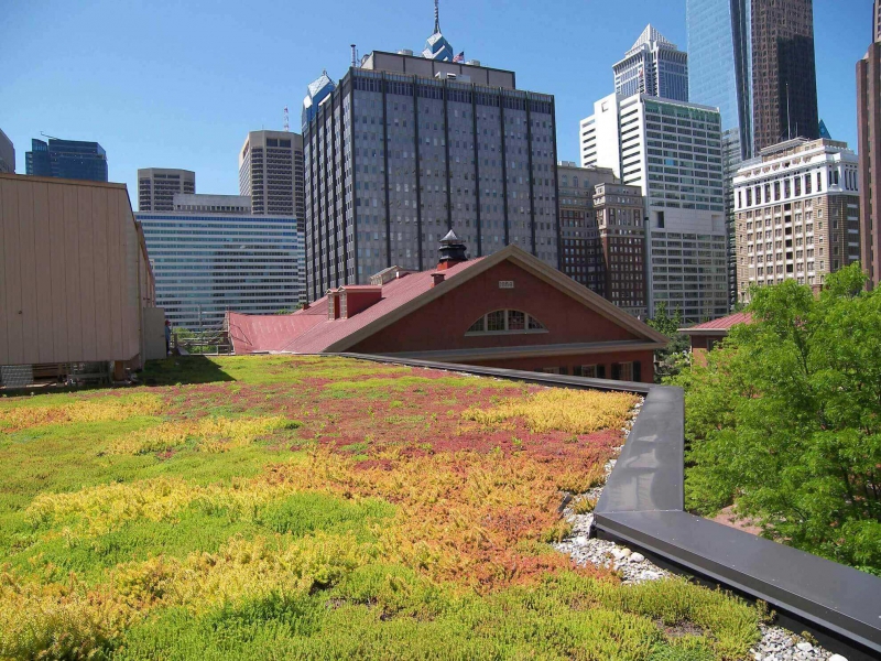 paysagiste-BRAS-min_green-roof-portfolio-4